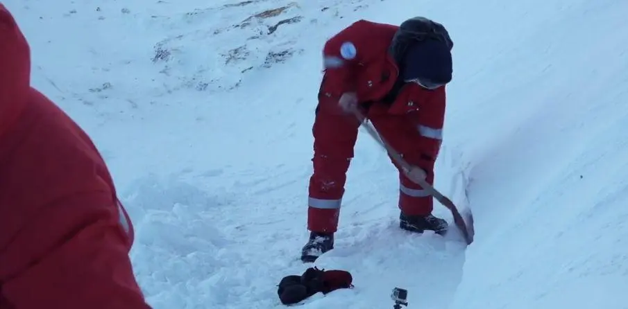 BBC触犯行规拍下的神作，让一亿人哭着打出9.7：自然越残酷，生命越坚韧！