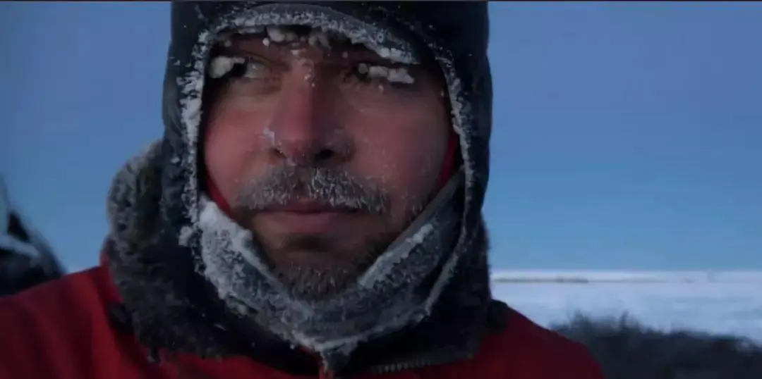 BBC触犯行规拍下的神作，让一亿人哭着打出9.7：自然越残酷，生命越坚韧！