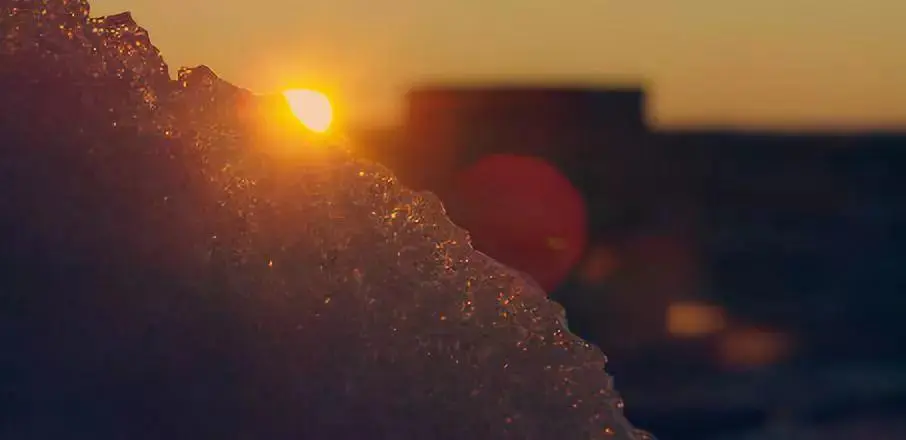 BBC触犯行规拍下的神作，让一亿人哭着打出9.7：自然越残酷，生命越坚韧！