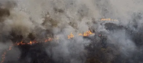 BBC触犯行规拍下的神作，让一亿人哭着打出9.7：自然越残酷，生命越坚韧！