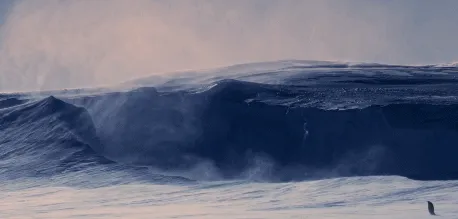 BBC触犯行规拍下的神作，让一亿人哭着打出9.7：自然越残酷，生命越坚韧！