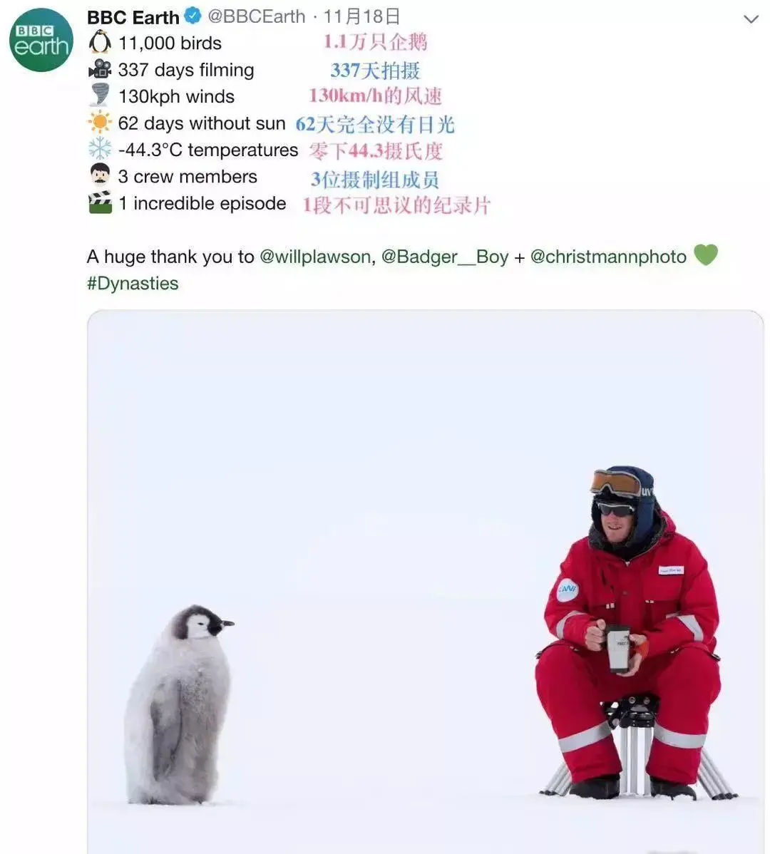 BBC触犯行规拍下的神作，让一亿人哭着打出9.7：自然越残酷，生命越坚韧！