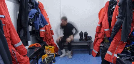 BBC触犯行规拍下的神作，让一亿人哭着打出9.7：自然越残酷，生命越坚韧！