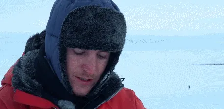 BBC触犯行规拍下的神作，让一亿人哭着打出9.7：自然越残酷，生命越坚韧！