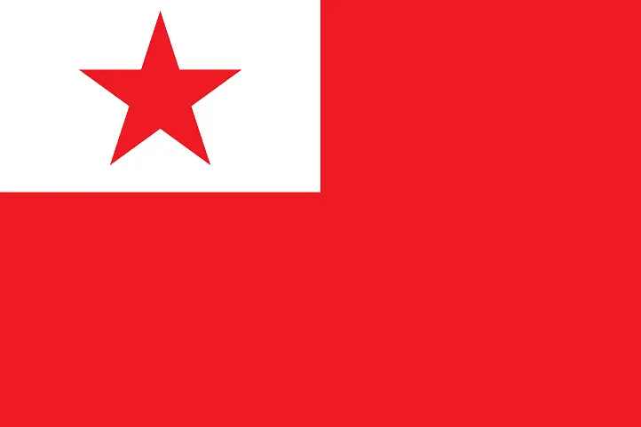 1949年，国旗差点成了“星条旗”？