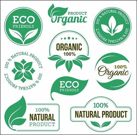 为什么人脑不是预测机器？