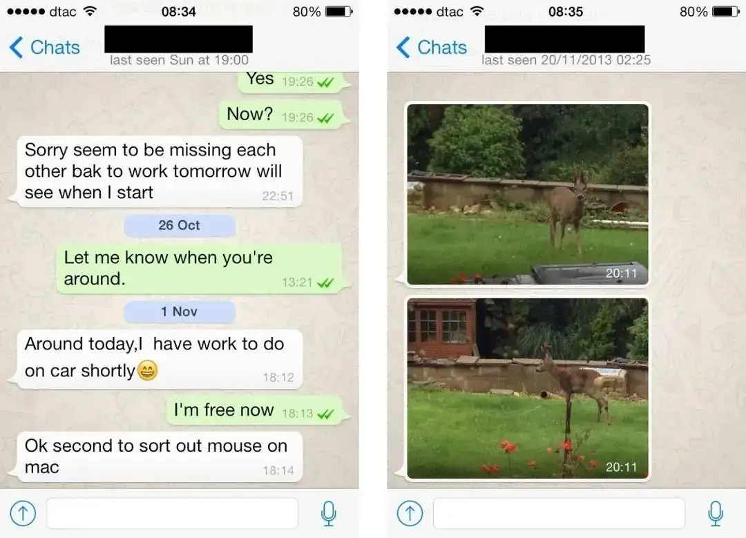 俄罗斯留学超全必备App，衣食住行全覆盖！