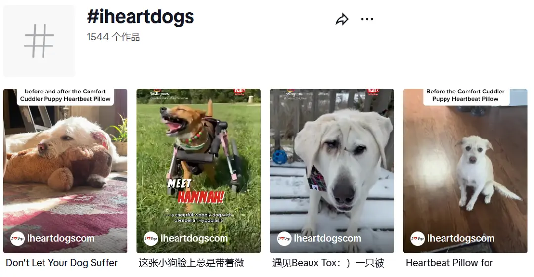 卖“宠物饰品”，年入2200万美元！