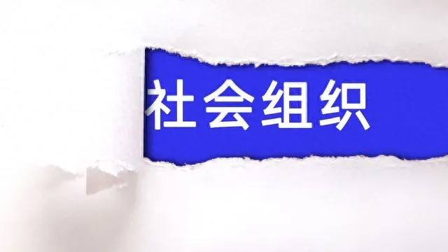 市面上口碑好的社团管理软件品牌推荐：基于权威数据的深度分析