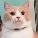 小虾米。的头像