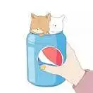 小圆圆圆圆圆圆圆圆圆圆的头像